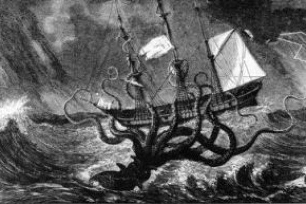 Kraken 17 at net